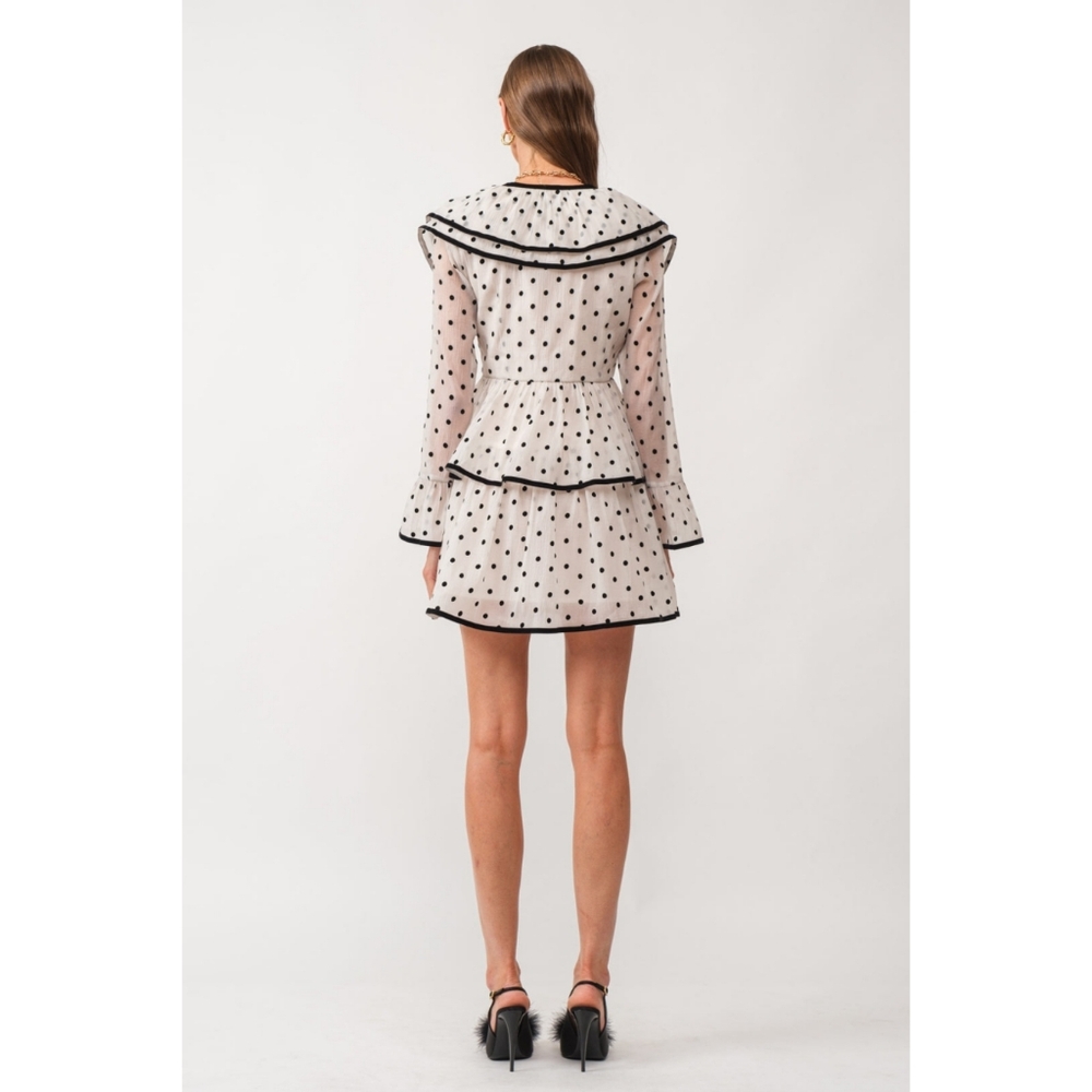 Polka Dot Ruffle Dress - Picture 11 of 14